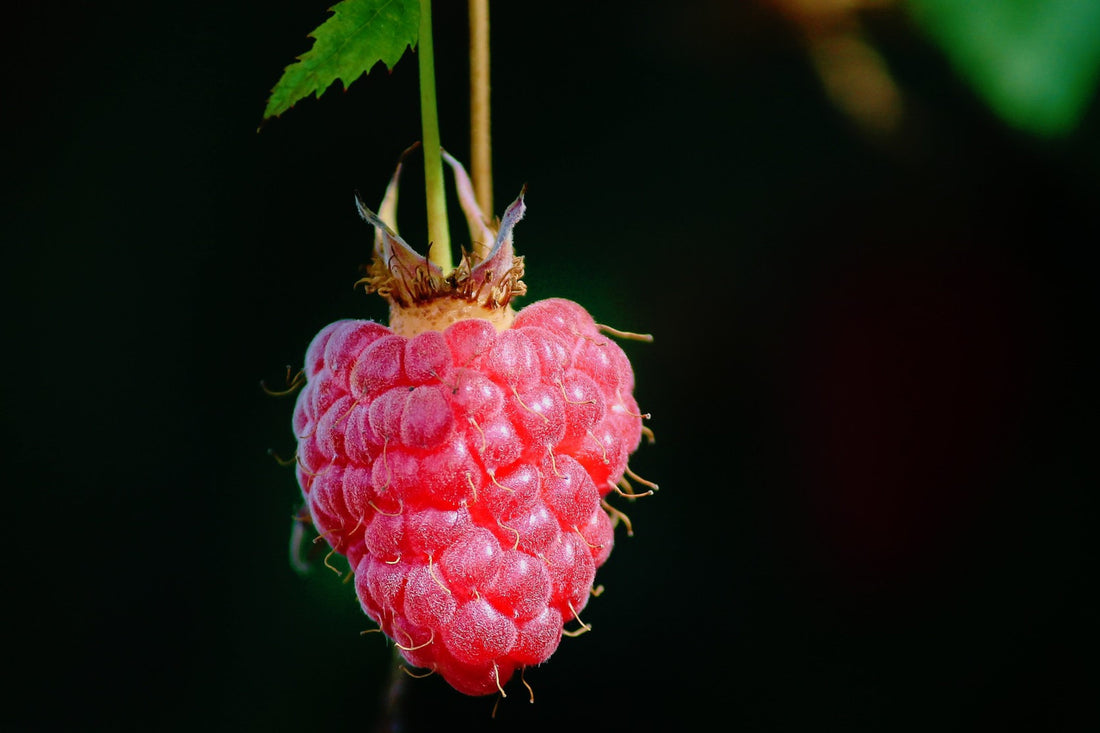 raspberry flavoring