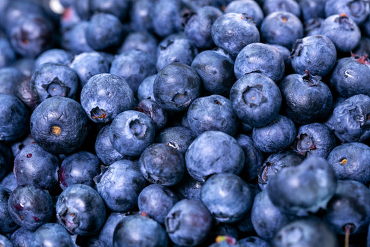 blueberry extract