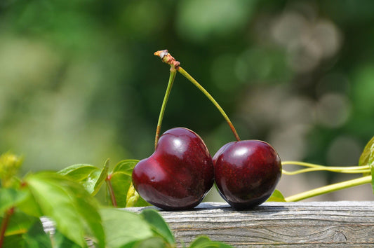 5 Recipes to Make With Black Cherry Flavor