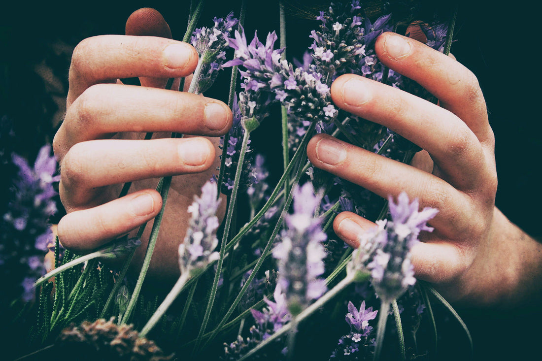 5 Recipes to Make With Lavender Concentrate